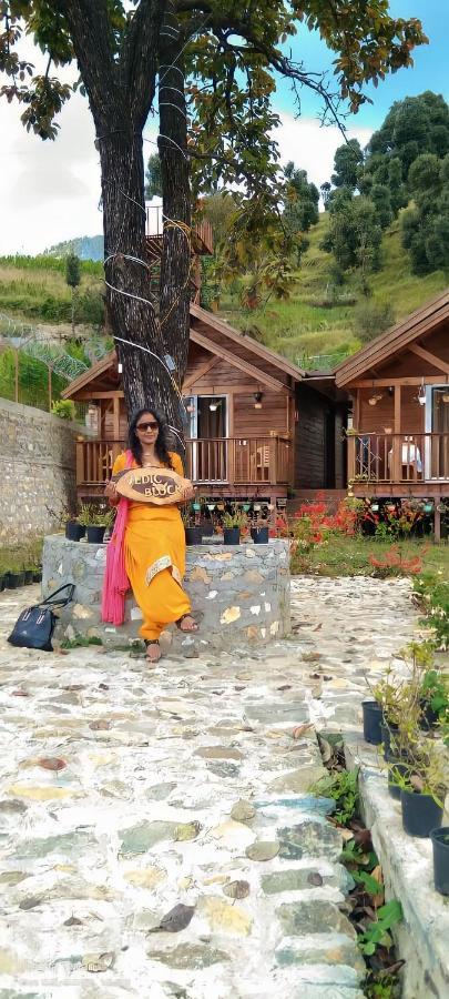 Vanprastha Resorts Dwarahat Kültér fotó