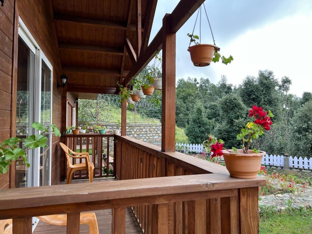 Vanprastha Resorts Dwarahat Kültér fotó