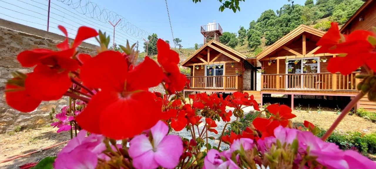 Vanprastha Resorts Dwarahat Kültér fotó